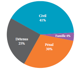 Diagramme à secteurs qui illustre les proportions des appels en droit civil, en droit de la famille, en droit pénal et des appels interjetés par des détenus reçus en 2013.