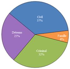 Diagramme à secteurs qui illustre les proportions des appels en droit civil, en droit de la famille, en droit pénal et des appels interjetés par des détenus reçus en 2012.